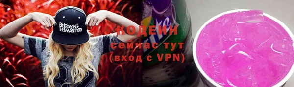 PSILOCYBIN Лагань