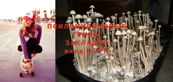 PSILOCYBIN Лагань
