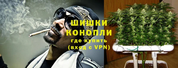 дурь Лабытнанги
