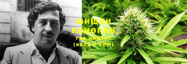PSILOCYBIN Лагань