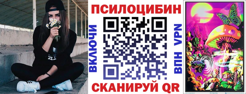 Псилоцибиновые грибы мухоморы  сайты даркнета состав  Шатура 