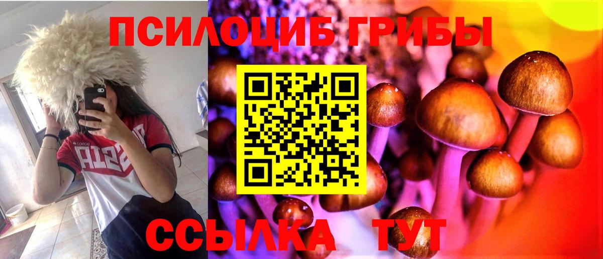 Шатура  Псилоцибиновые грибы Psilocybine cubensis  Галлюциногенные грибы Psilocybe  Вход с VPN 