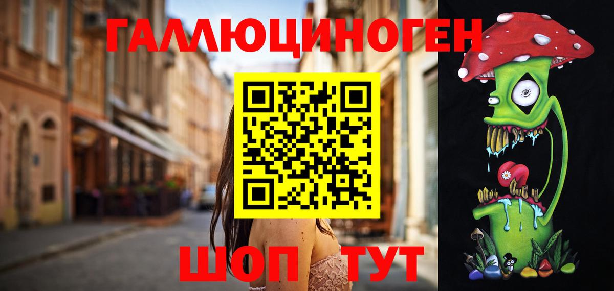 Галлюциногенные грибы Psilocybe Шатура
